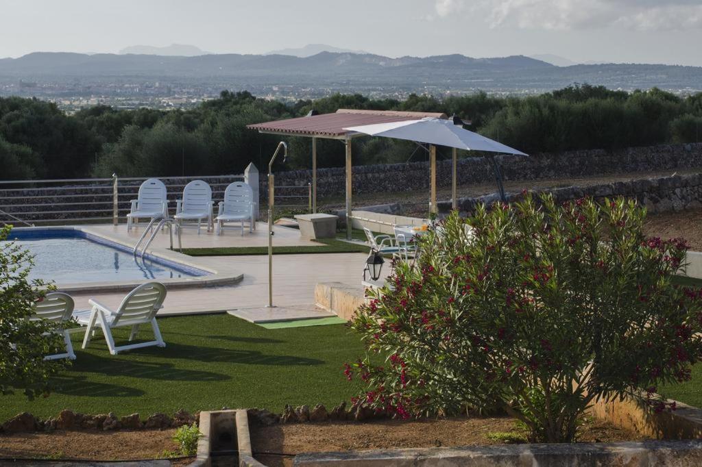 Confit - Grupo Berna Feriehus Campos (Mallorca)